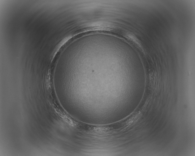 X0000056340875200508291313