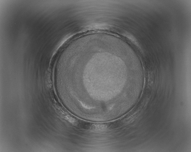 X0000056340878200508291313