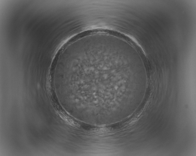 X0000056340879200508291313