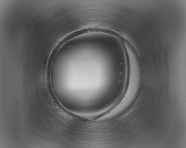 X0000056340880200508291313