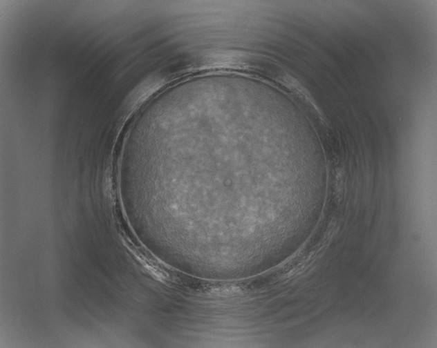 X0000056340882200508291313