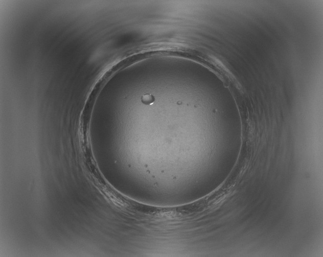 X0000056340883200508291313