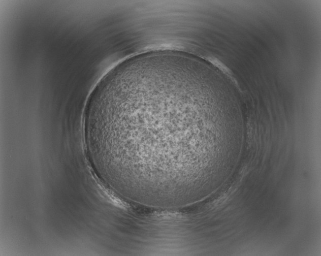 X0000056340886200508291313