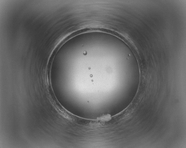 X0000056340887200508291313