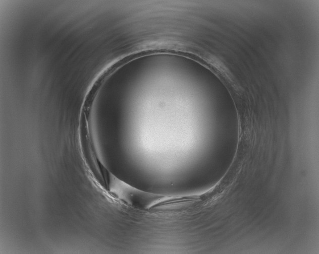 X0000056340888200508291313