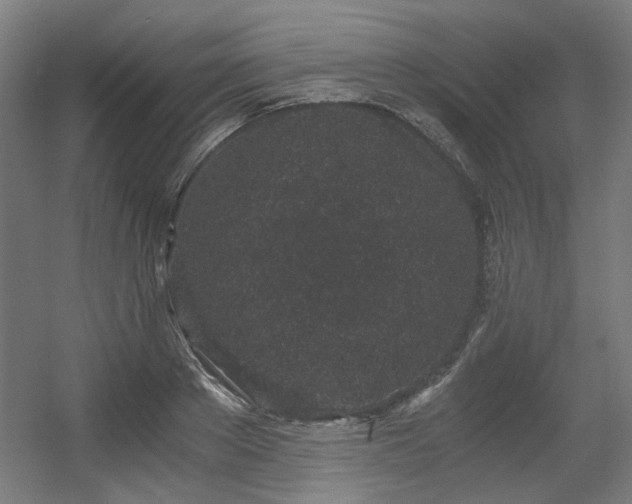 X0000056340889200508291313