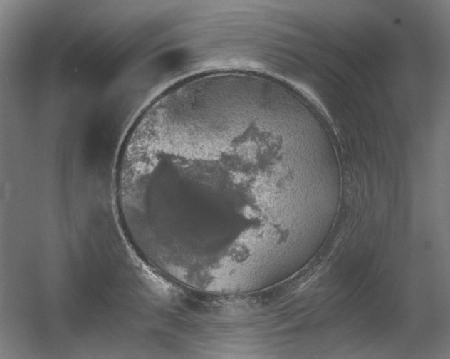 X0000056340895200508291312