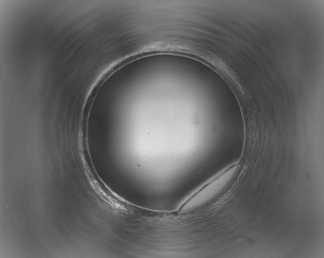 X0000056340896200508291312