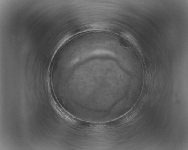 X0000056340899200508291312