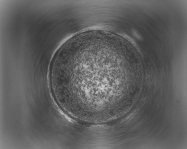 X0000056340902200508291312