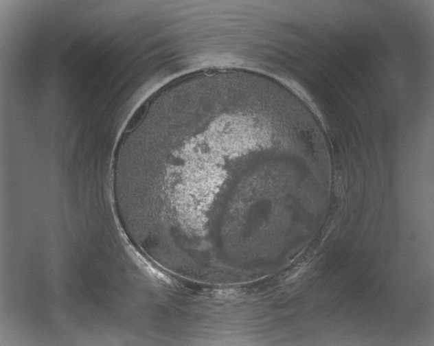 X0000056340903200508291312