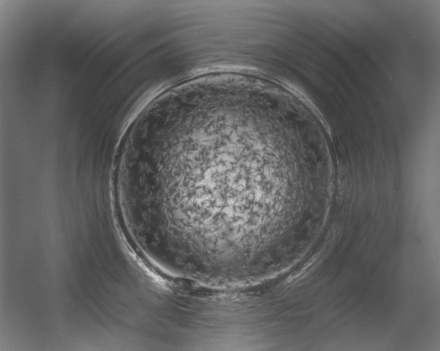 X0000056340906200508291312