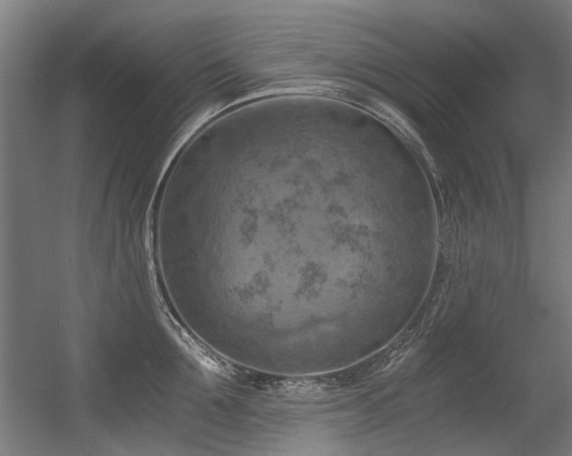 X0000056340907200508291312