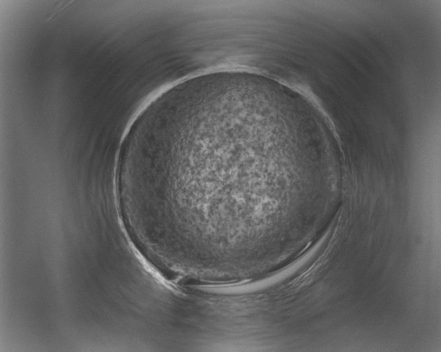 X0000056340910200508291312