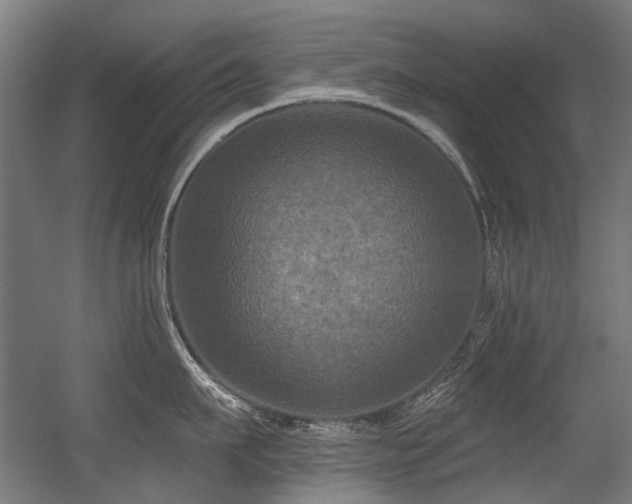 X0000056340911200508291312