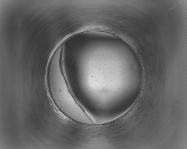 X0000056340912200508291312