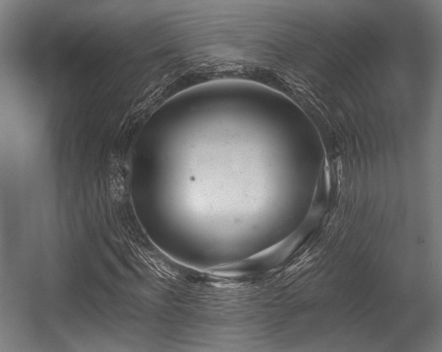 X0000056340916200508291311