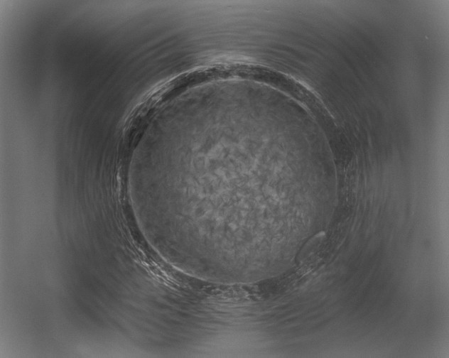 X0000056340919200508291311