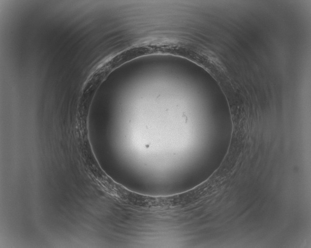 X0000056340920200508291311