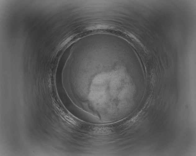 X0000056340921200508291311