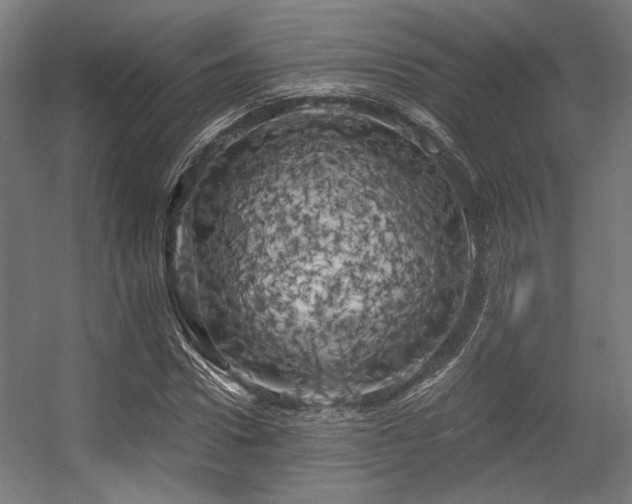 X0000056340922200508291311