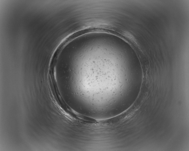 X0000056340924200508291311