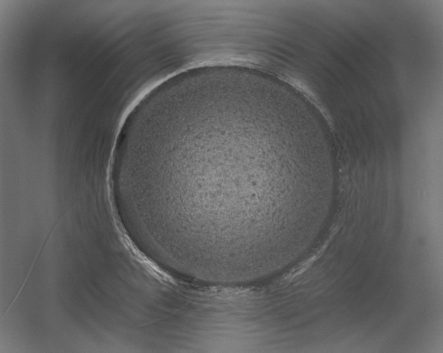 X0000056340928200508291312