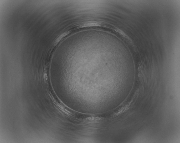 X0000056340929200508291312