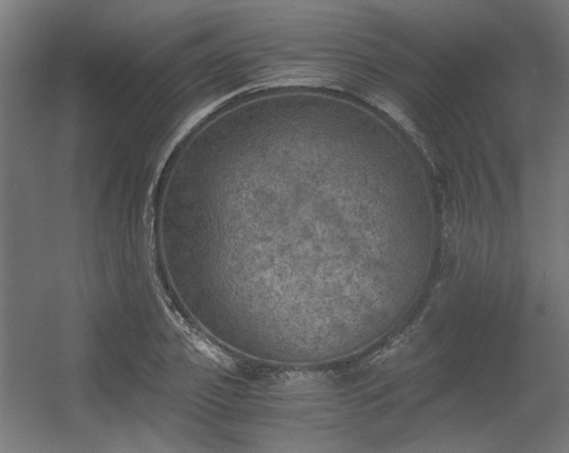 X0000056340933200508291312