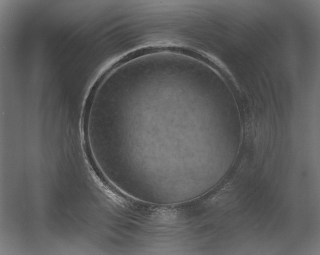 X0000056340935200508291312