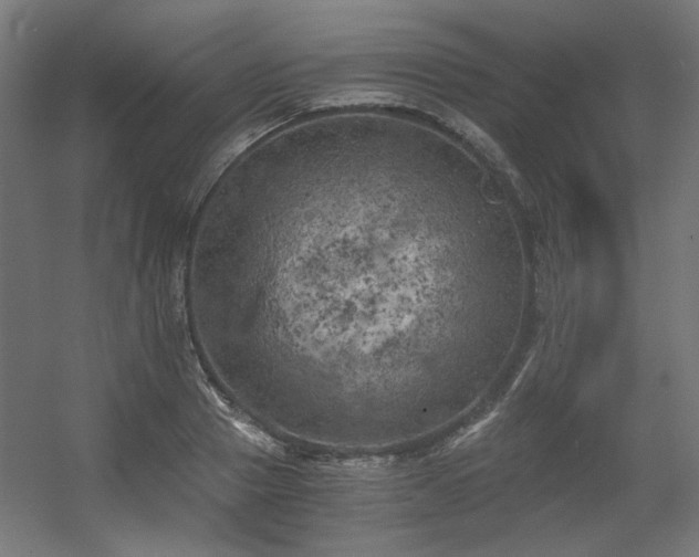 X0000056340937200508291312