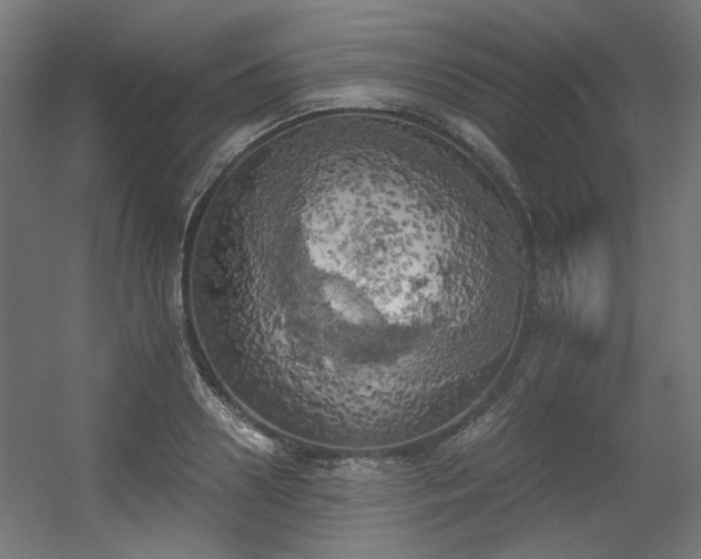 X0000056340938200508291312