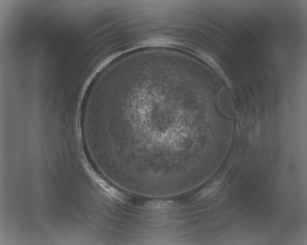 X0000056340939200508291312