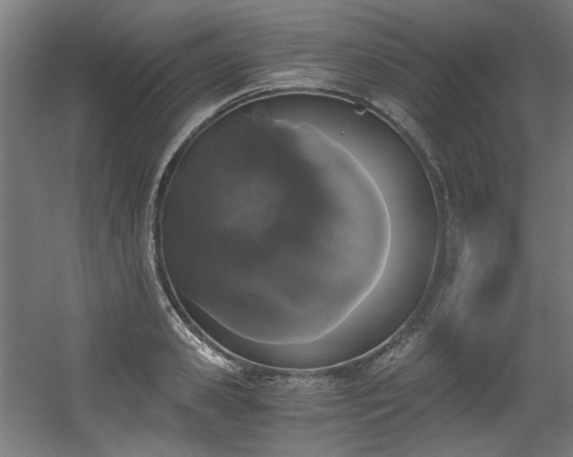 X0000056340941200508291312