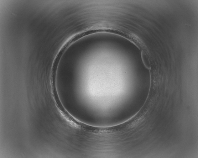 X0000056340942200508291312