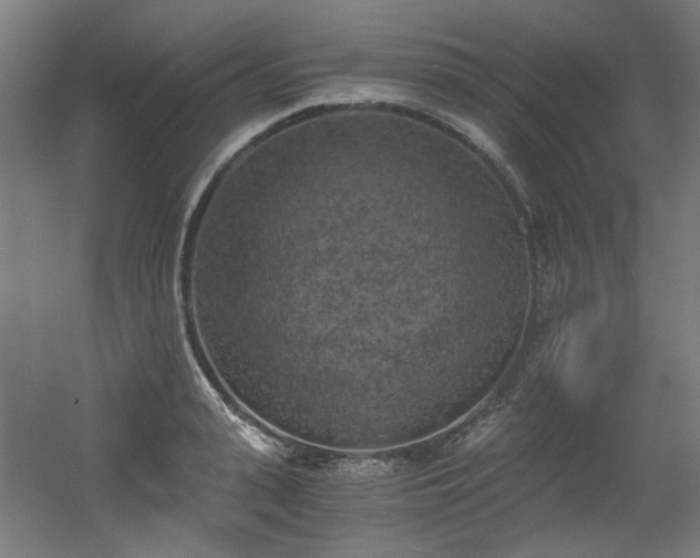 X0000056340943200508291312