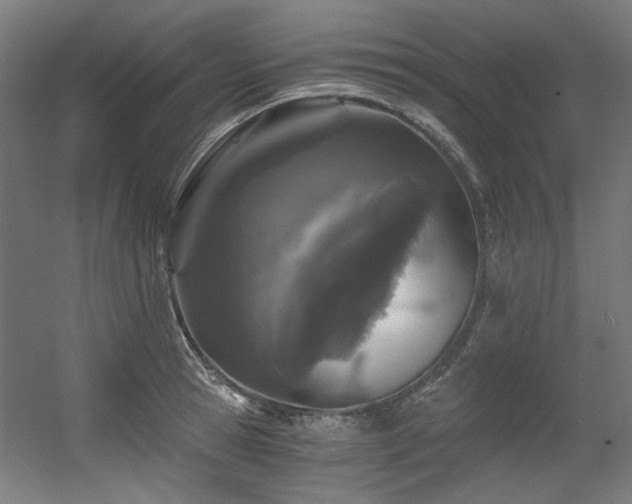 X0000056340945200508291312