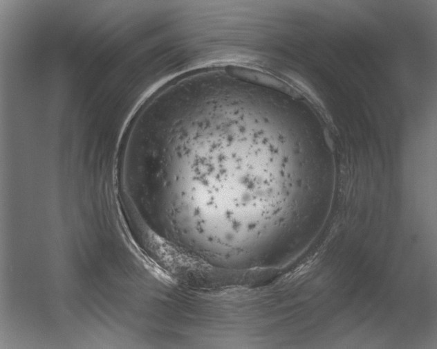 X0000056340948200508291312