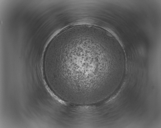 X0000056340949200508291312