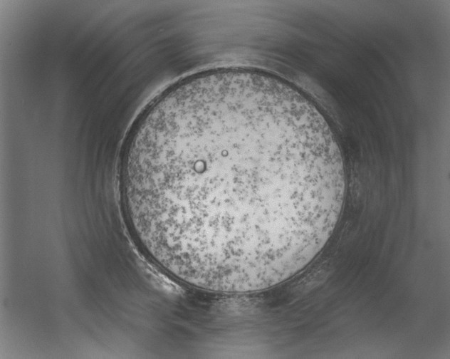 X0000056340950200508291312