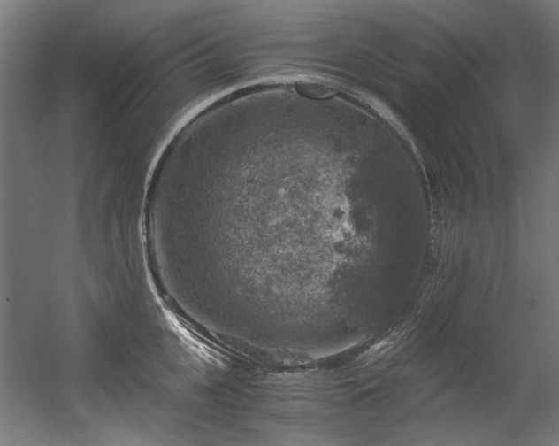 X0000056340951200508291312