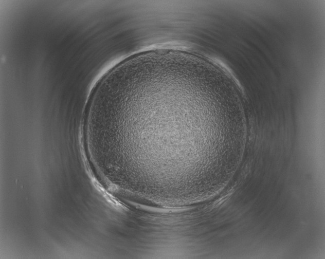 X0000056340952200508291312