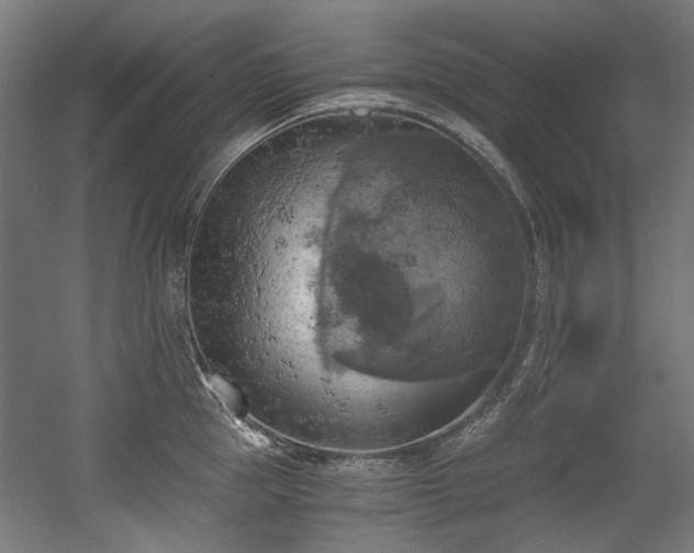 X0000056340953200508291312