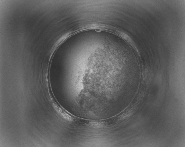 X0000056340954200508291312