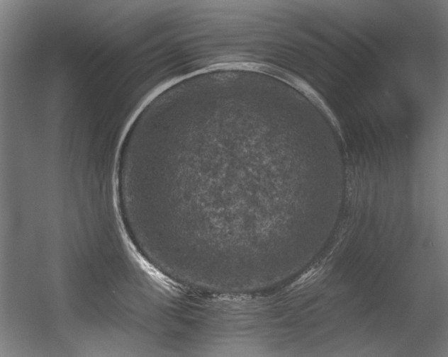 X0000056340955200508291312