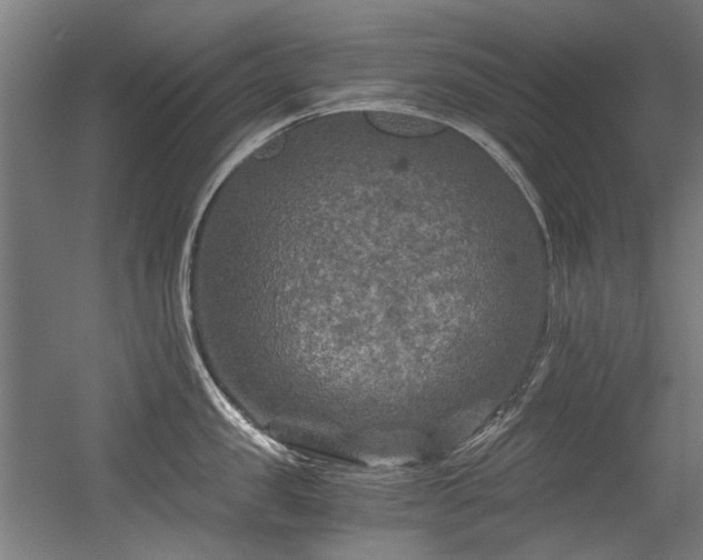 X0000056340957200508291312