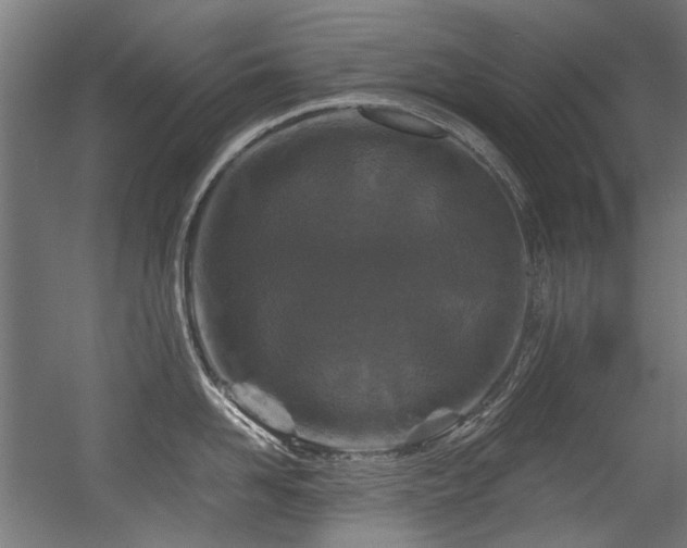 X0000056340958200508291312