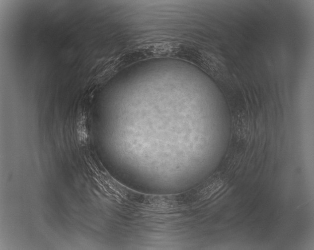 X0000056340962200508291311