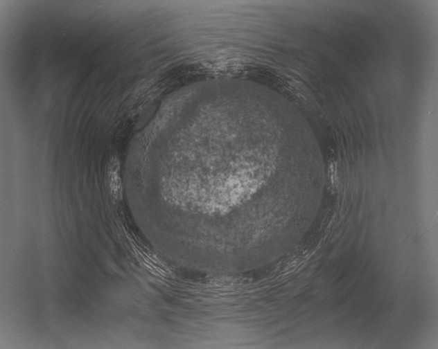 X0000056340963200508291311