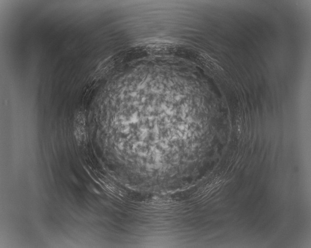 X0000056340964200508291311